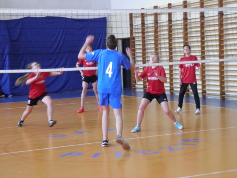 Siatkówka dla Niepodległegłej